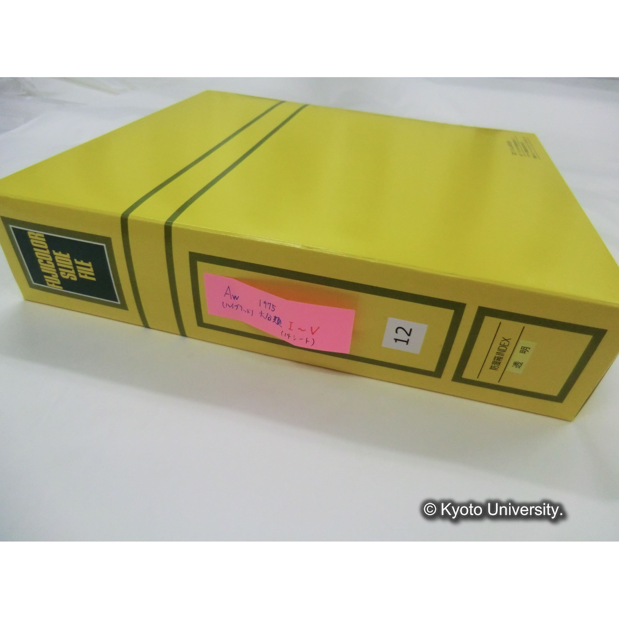 [スライドファイル] Aw （ハイブリッド） 1975 大分類I〜V（14シート） [ラベル]12. (1)