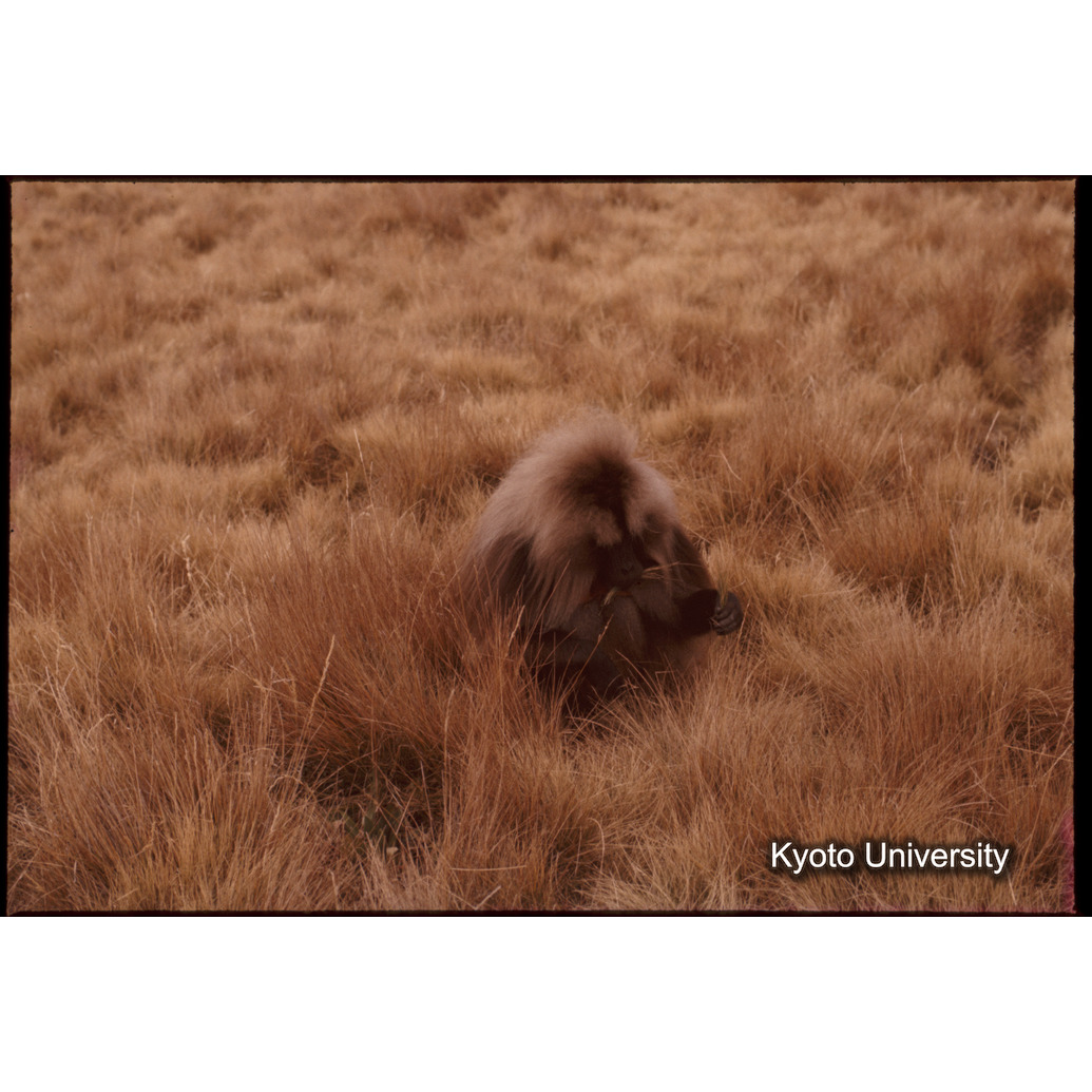 Sm　1973　1230 (1)