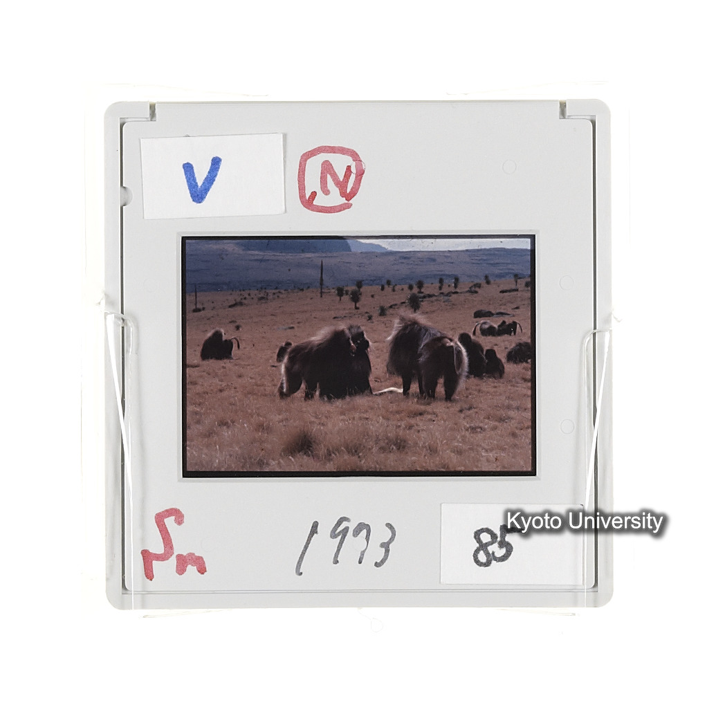 Sm　1973　85　（N）[赤色, 丸囲み] (2)