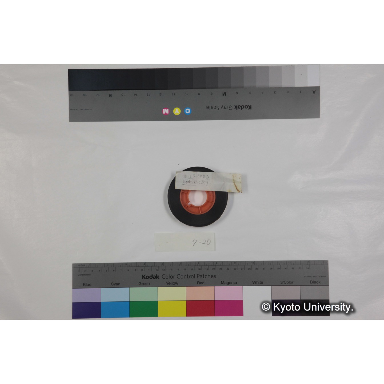 フッテージ２０「ホカク（不要）」 (3)