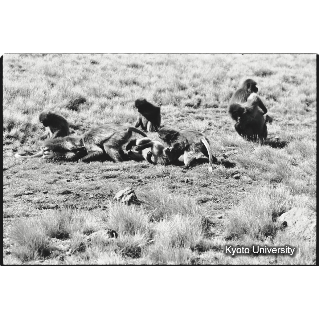 [３４コマ目]「水を飲むコドモグループ（１）」 (1)