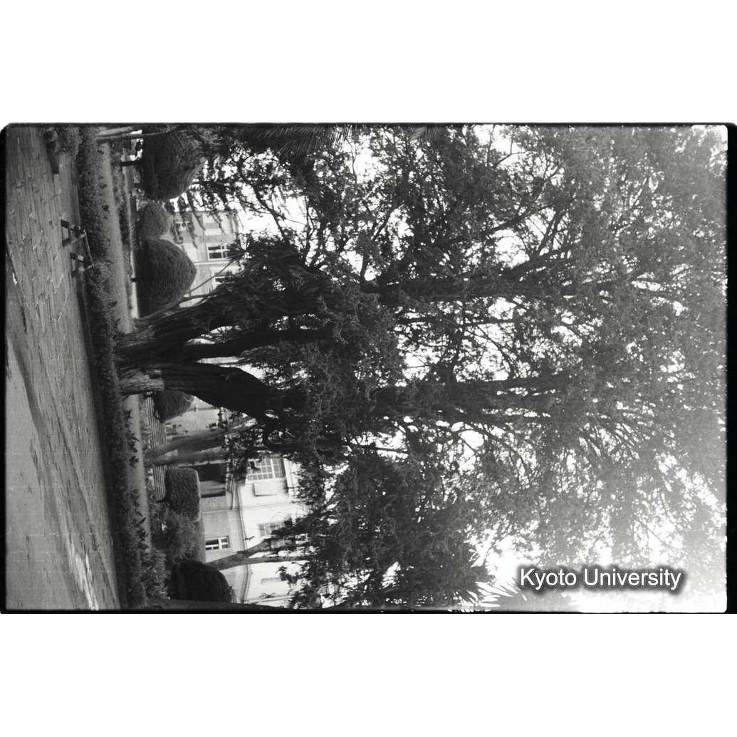 [１１コマ目]「×」 (1)