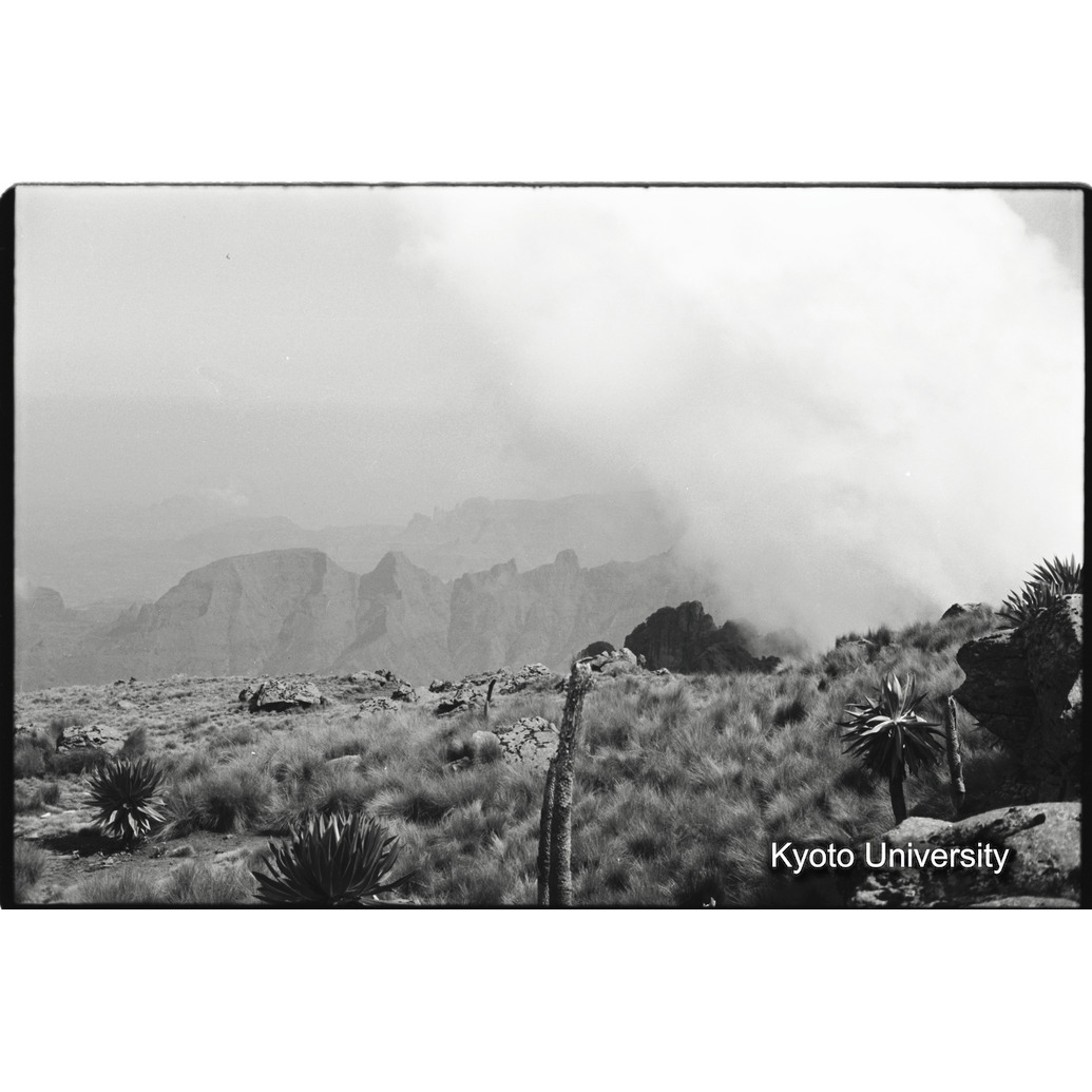 [３コマ目]「ガスの風景（３）」 (1)