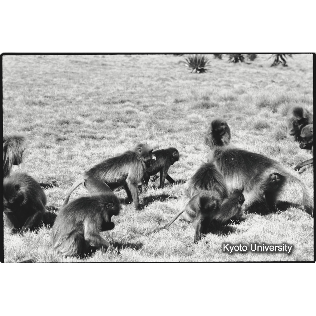 [３５コマ目]「劣位の表情」 (1)