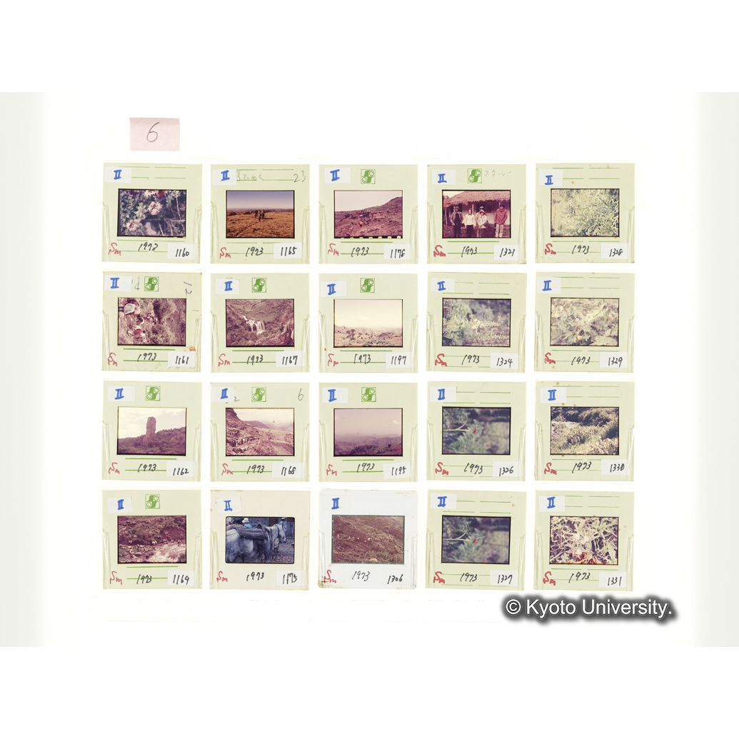 [スライドシート] 6 (1)