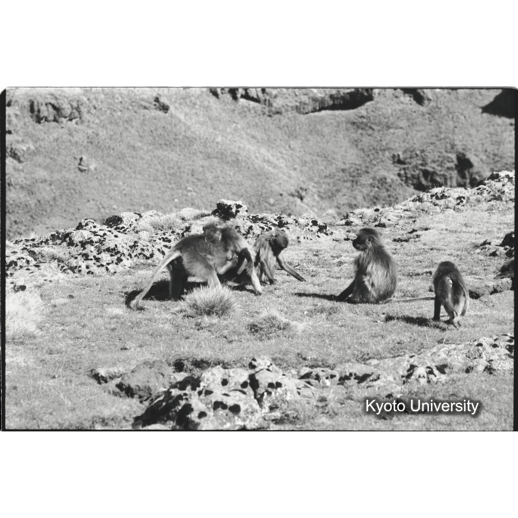 [２１コマ目]「コドモのあそび（３）」 (1)