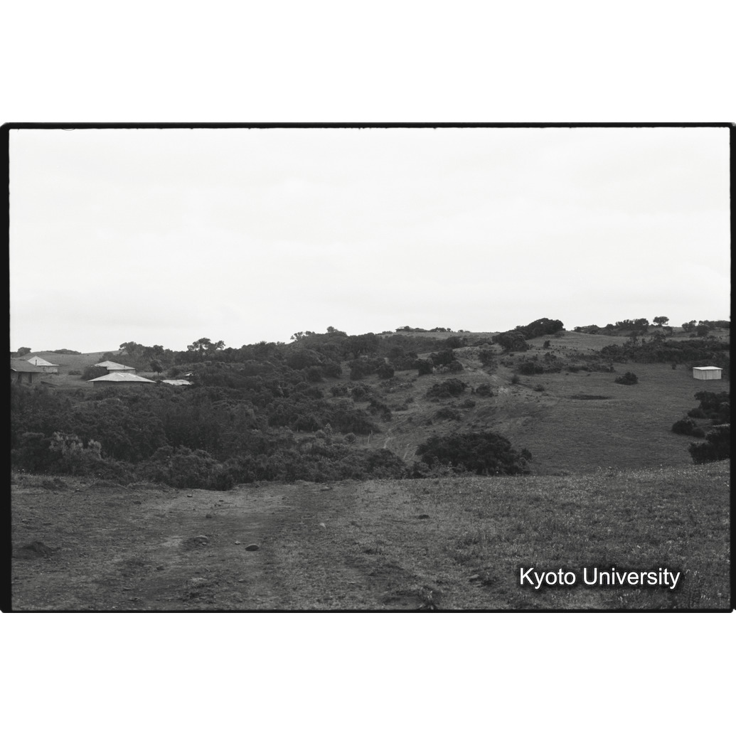 [１１コマ目]「サンカバーキャンプ」 (1)