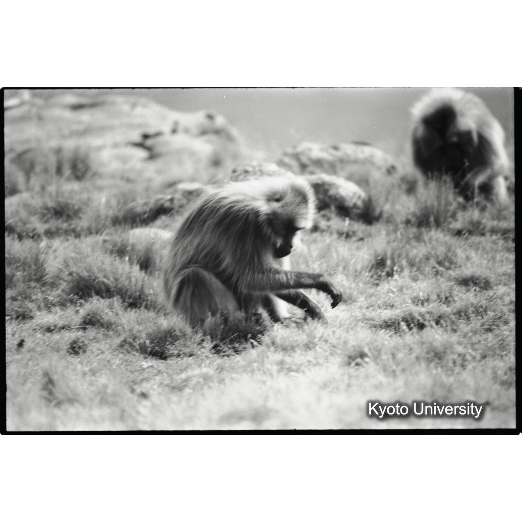 [１８コマ目]「土堀り（２）」 (1)