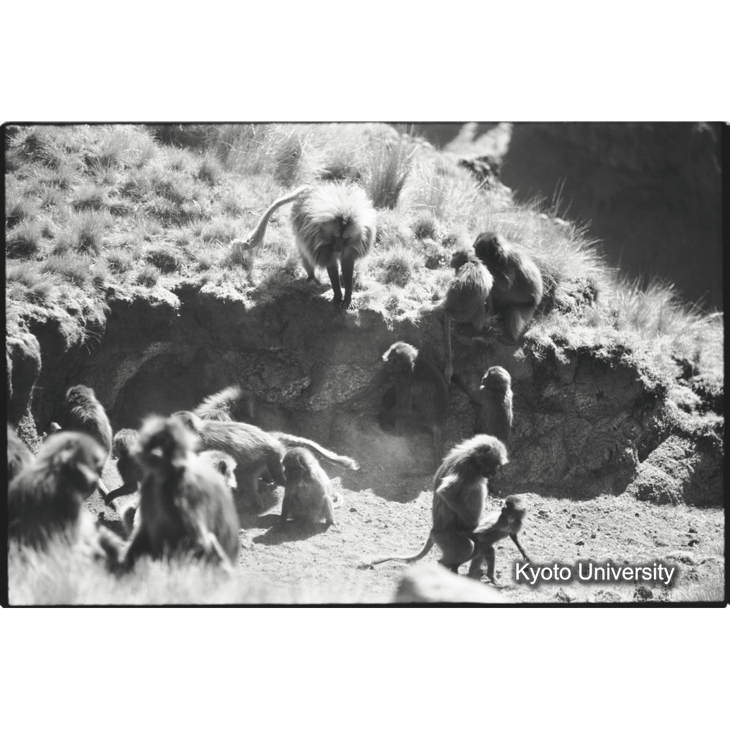 [１１コマ目]「コドモグループ（３）」 (1)