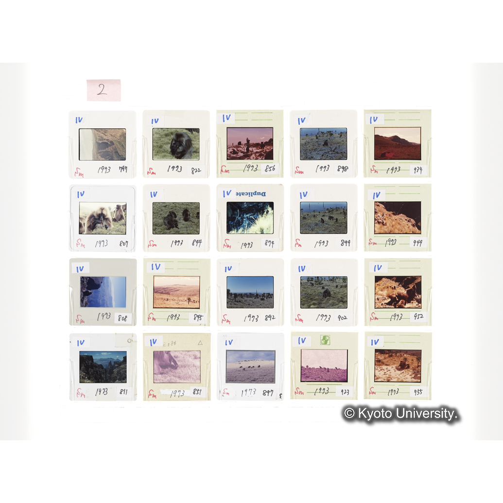 [スライドシート] 2 (1)