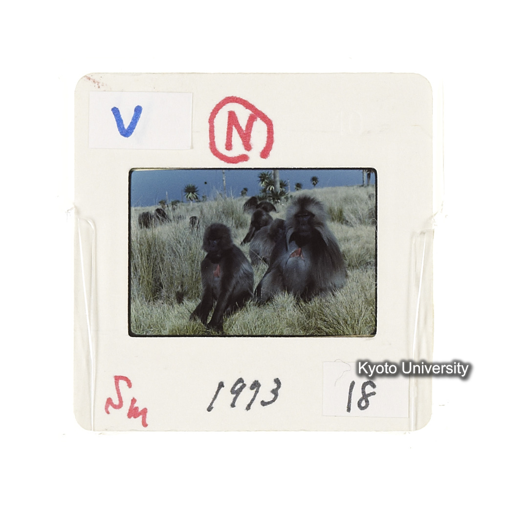 Sm　1973　18　（N）[赤色, 丸囲み] (2)