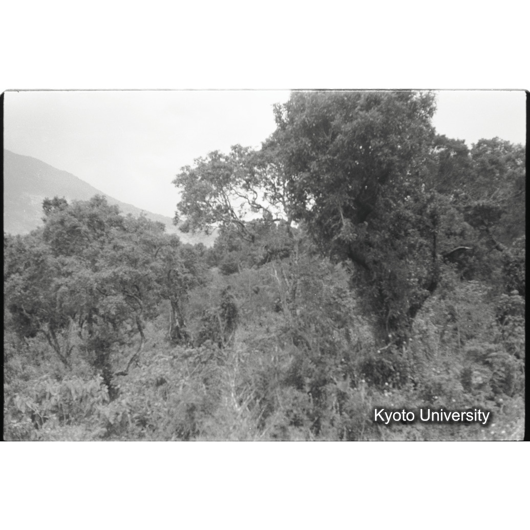 [14コマ目]「×」 (1)