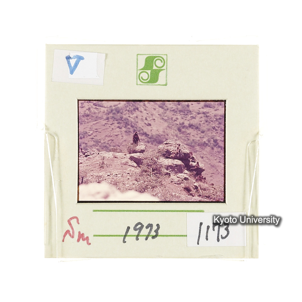 Sm　1973　1173 (2)