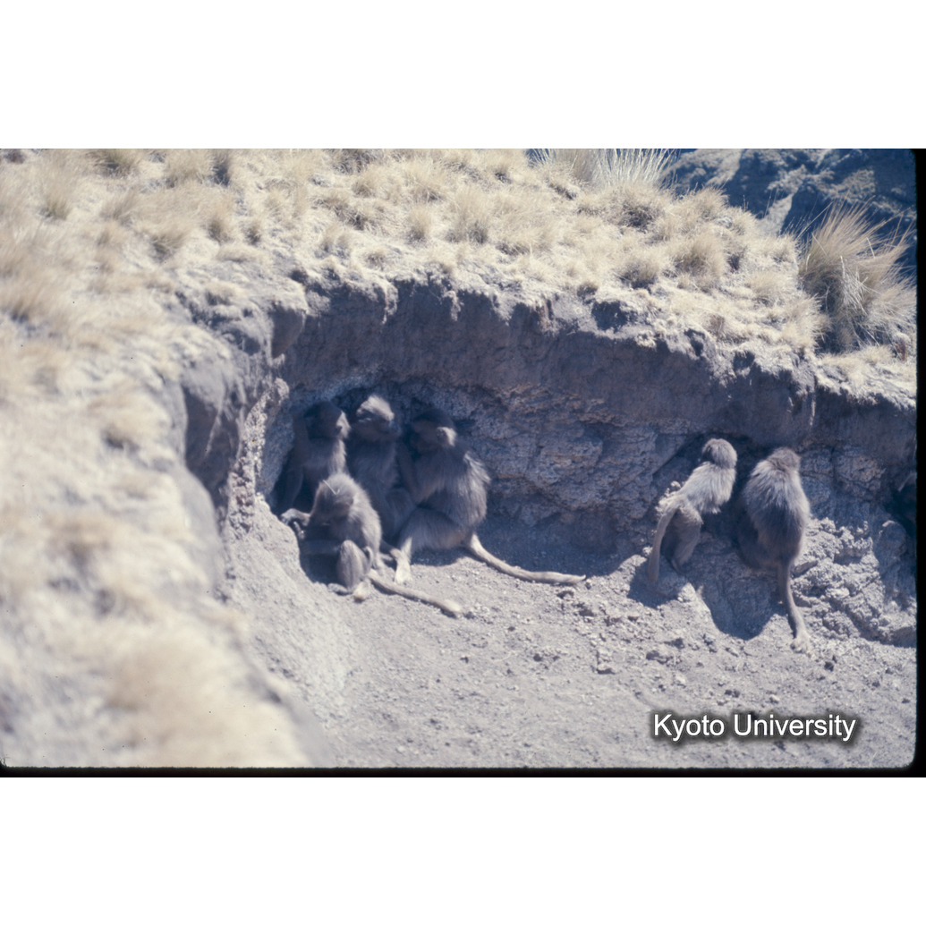 Sm　1973　1216 (1)