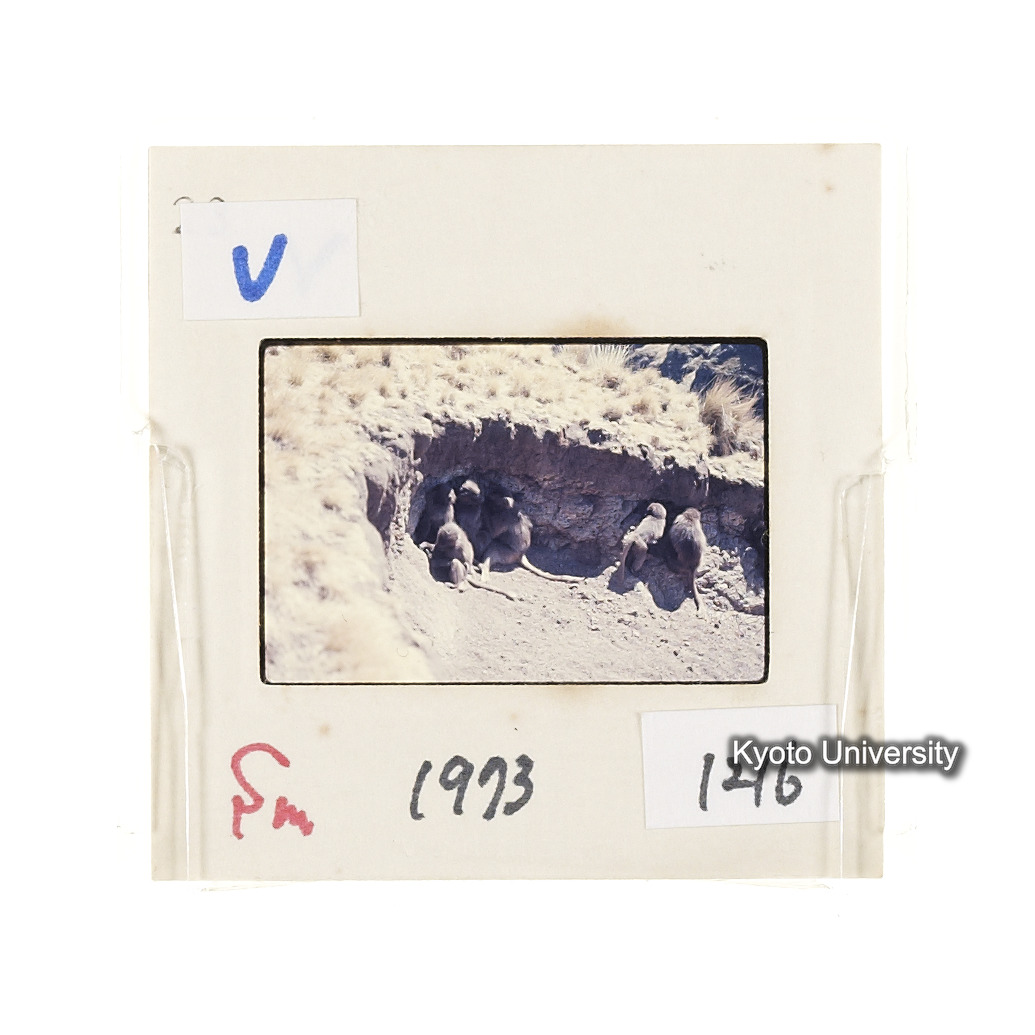 Sm　1973　1216 (2)