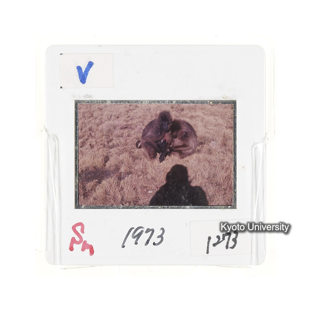 Sm　1973　1273 (2)