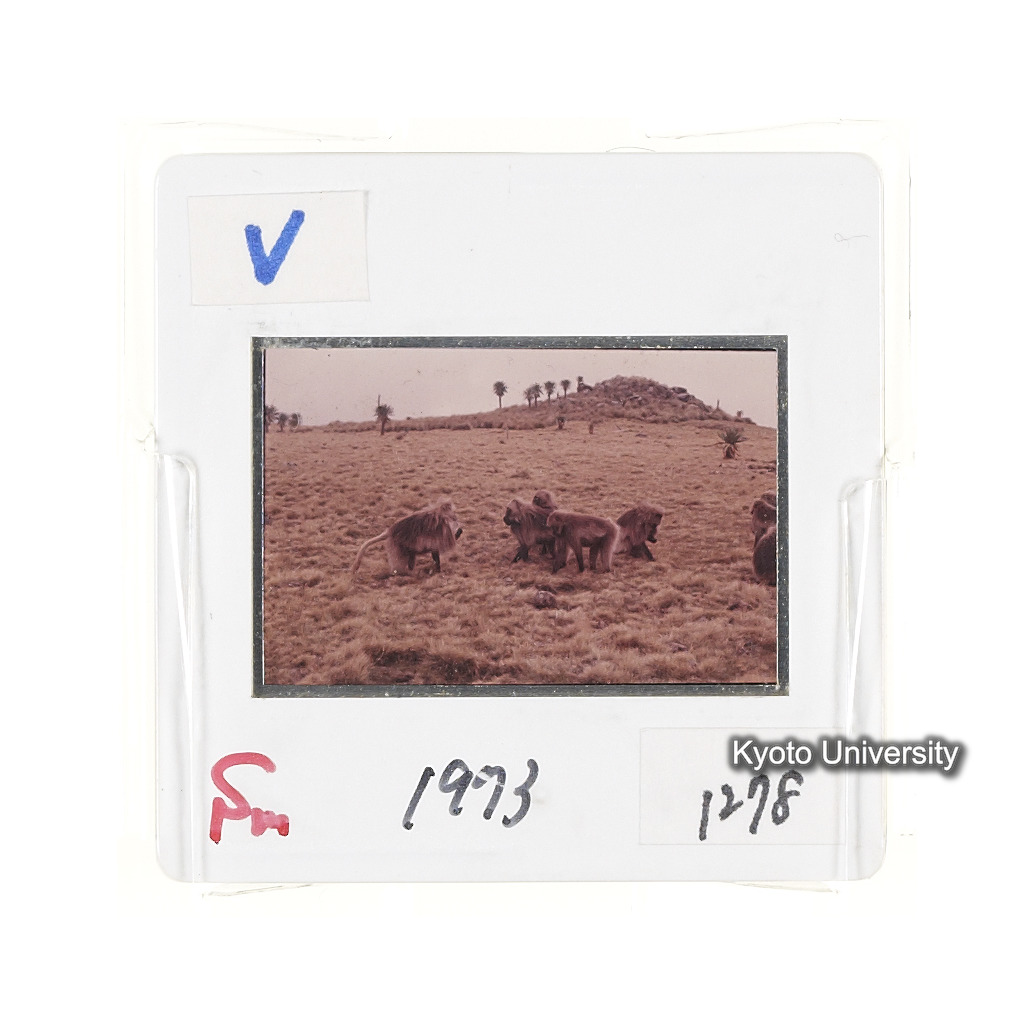 Sm　1973　1278 (2)