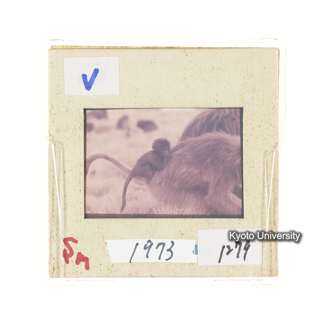 Sm　1973　1279 (2)