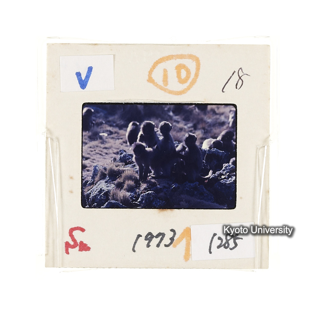 Sm　1973　1285 (2)