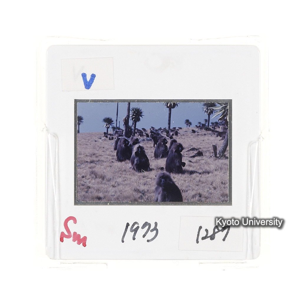 Sm　1973　1287 (2)