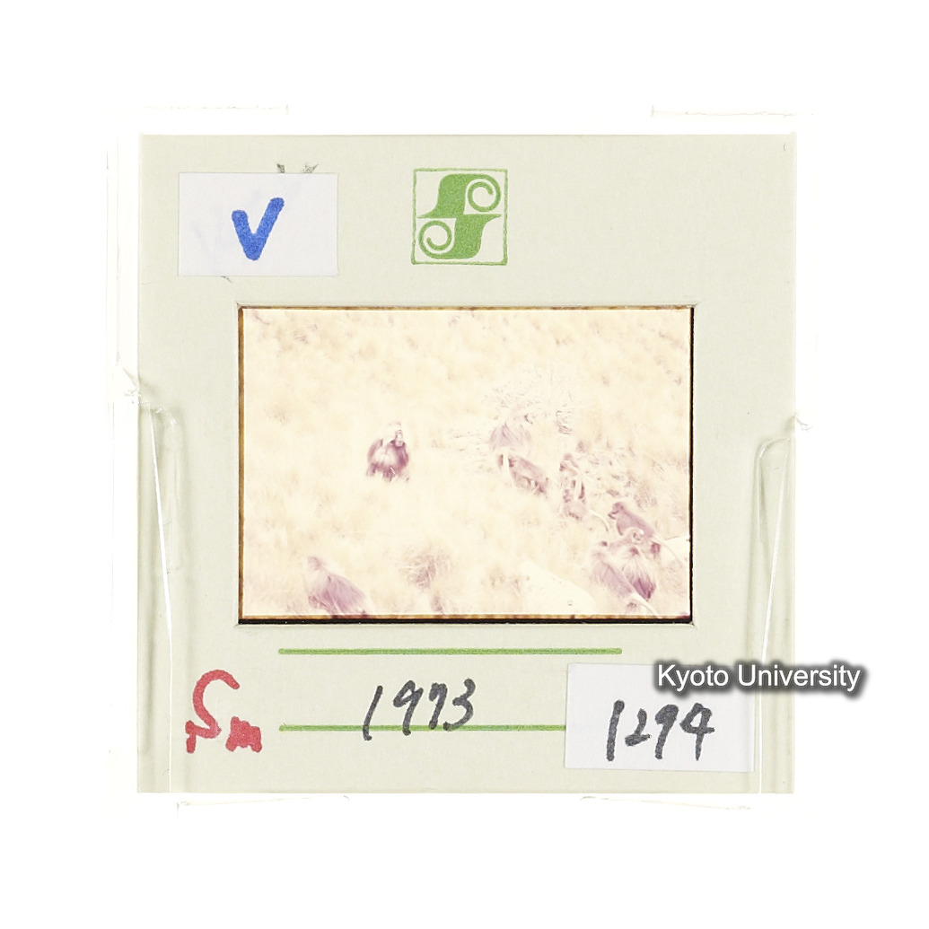 Sm　1973　1294 (2)