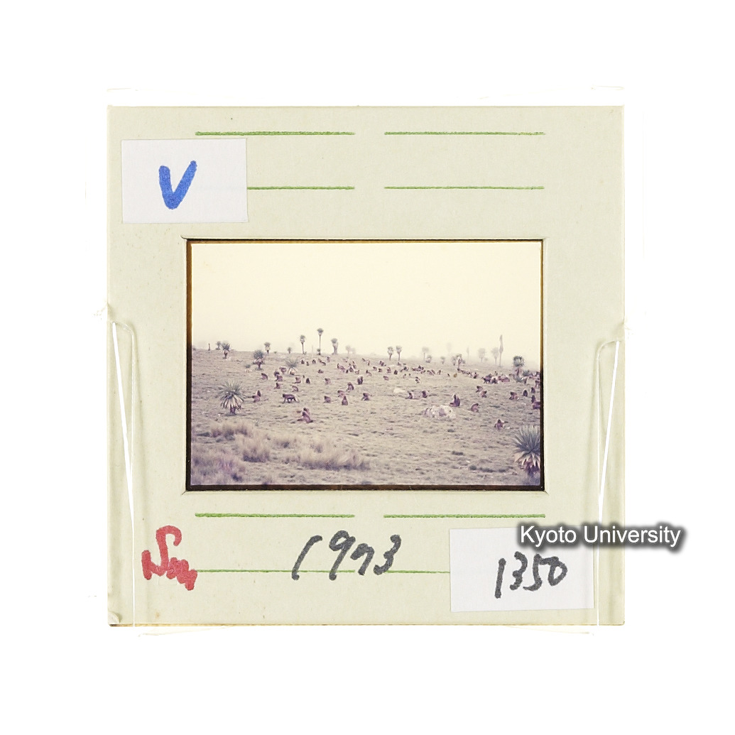 Sm　1973　1350 (2)