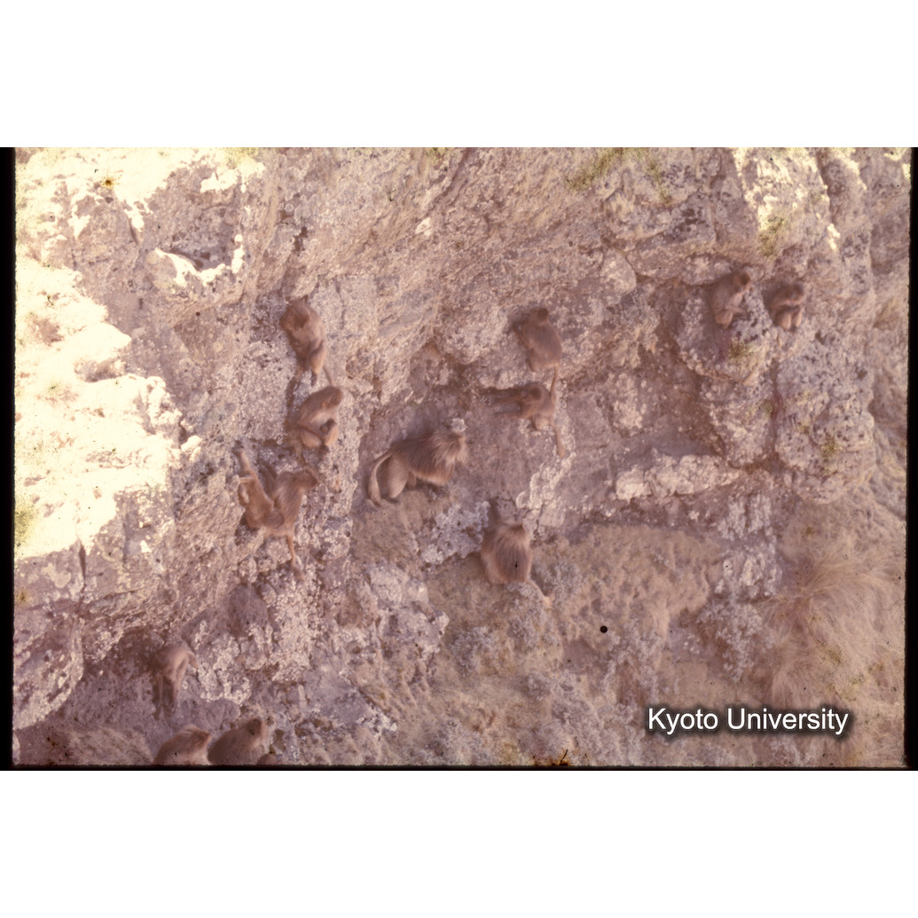 Sm　1973　1358 (1)