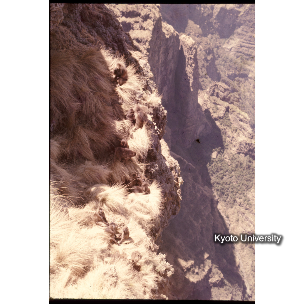 Sm　1973　1360 (1)