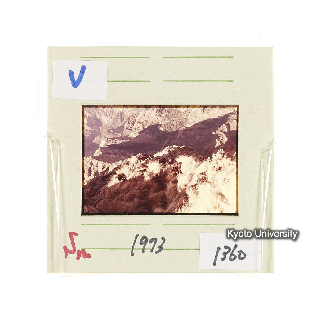 Sm　1973　1360 (2)