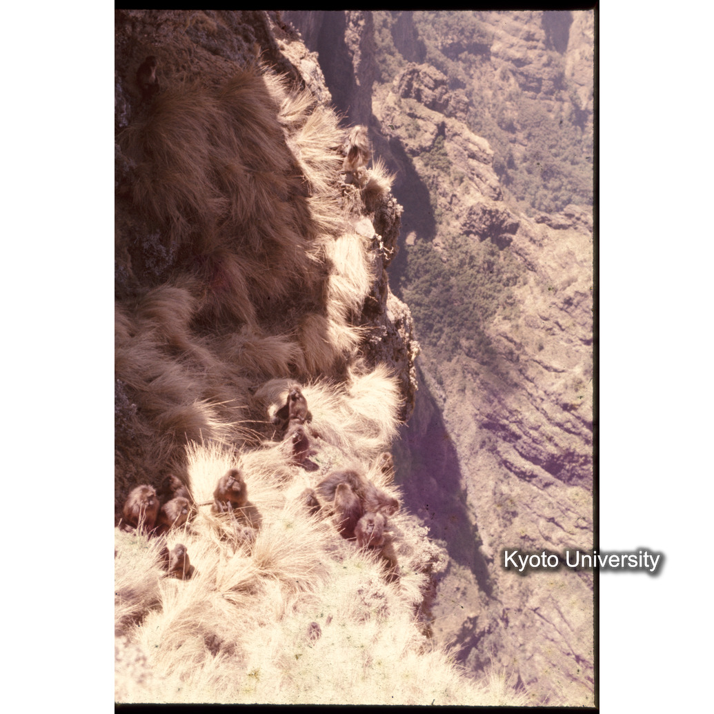 Sm　1973　1363 (1)