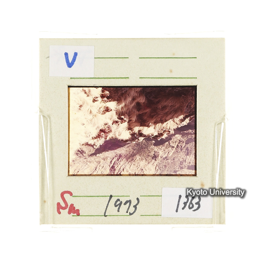 Sm　1973　1363 (2)