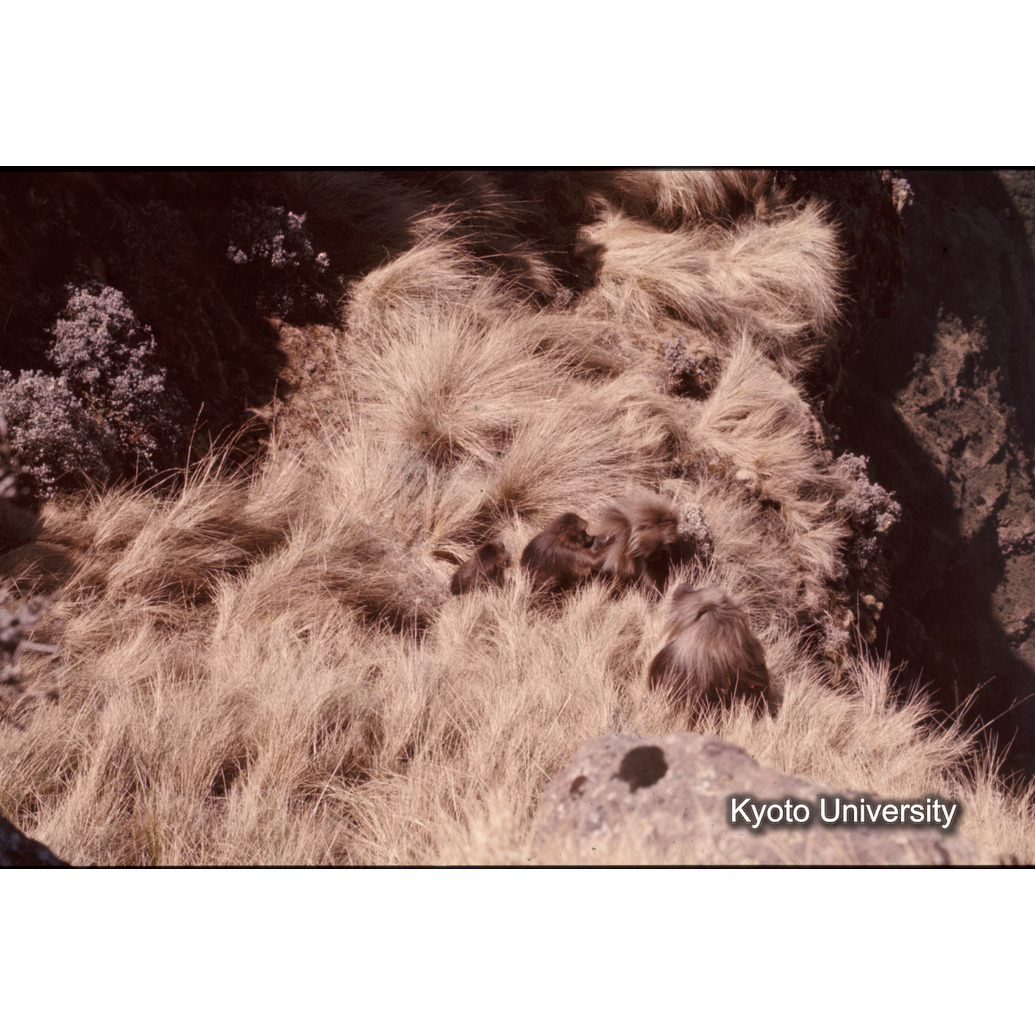 Sm　1973　1417 (1)