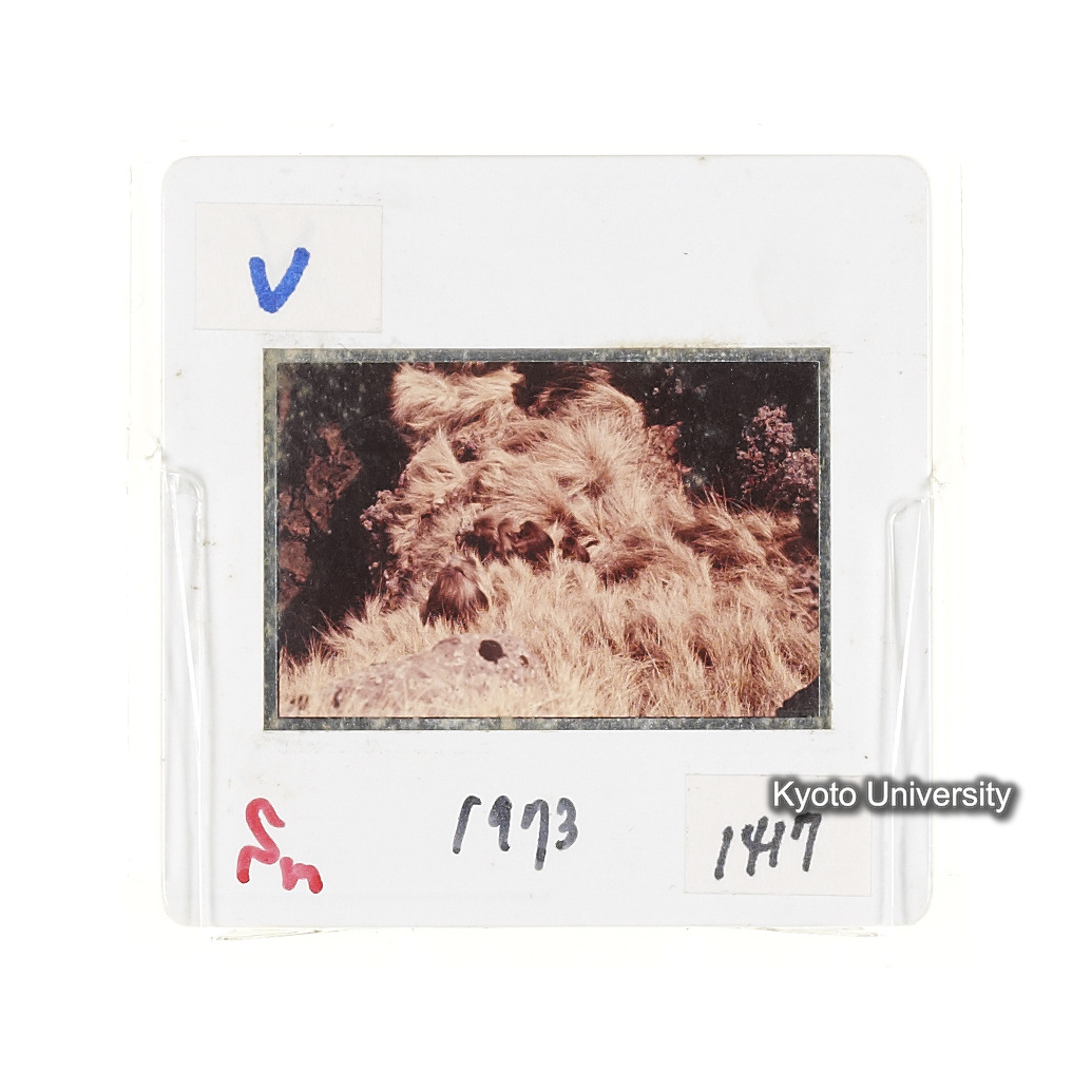 Sm　1973　1417 (2)