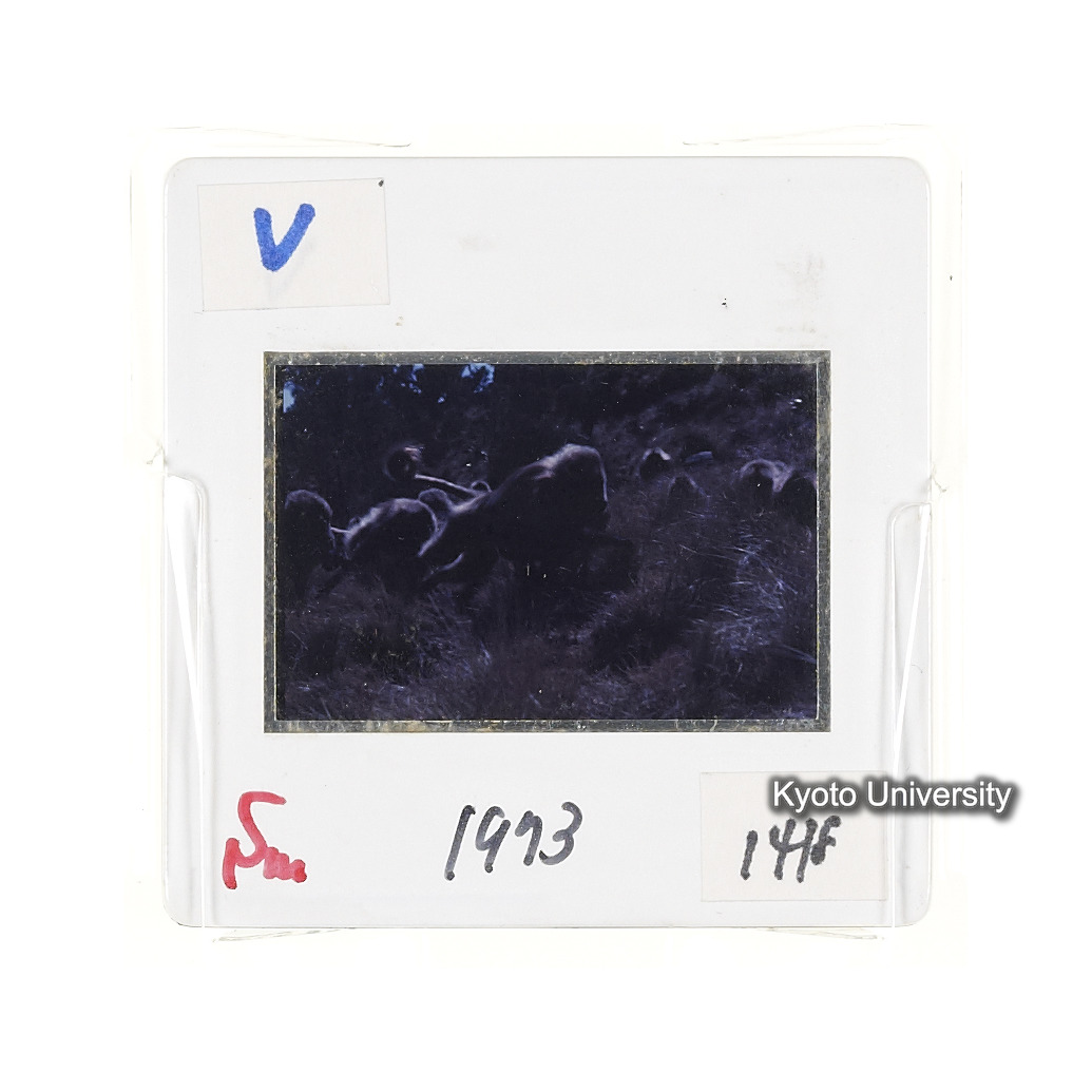 Sm　1973　1418 (2)