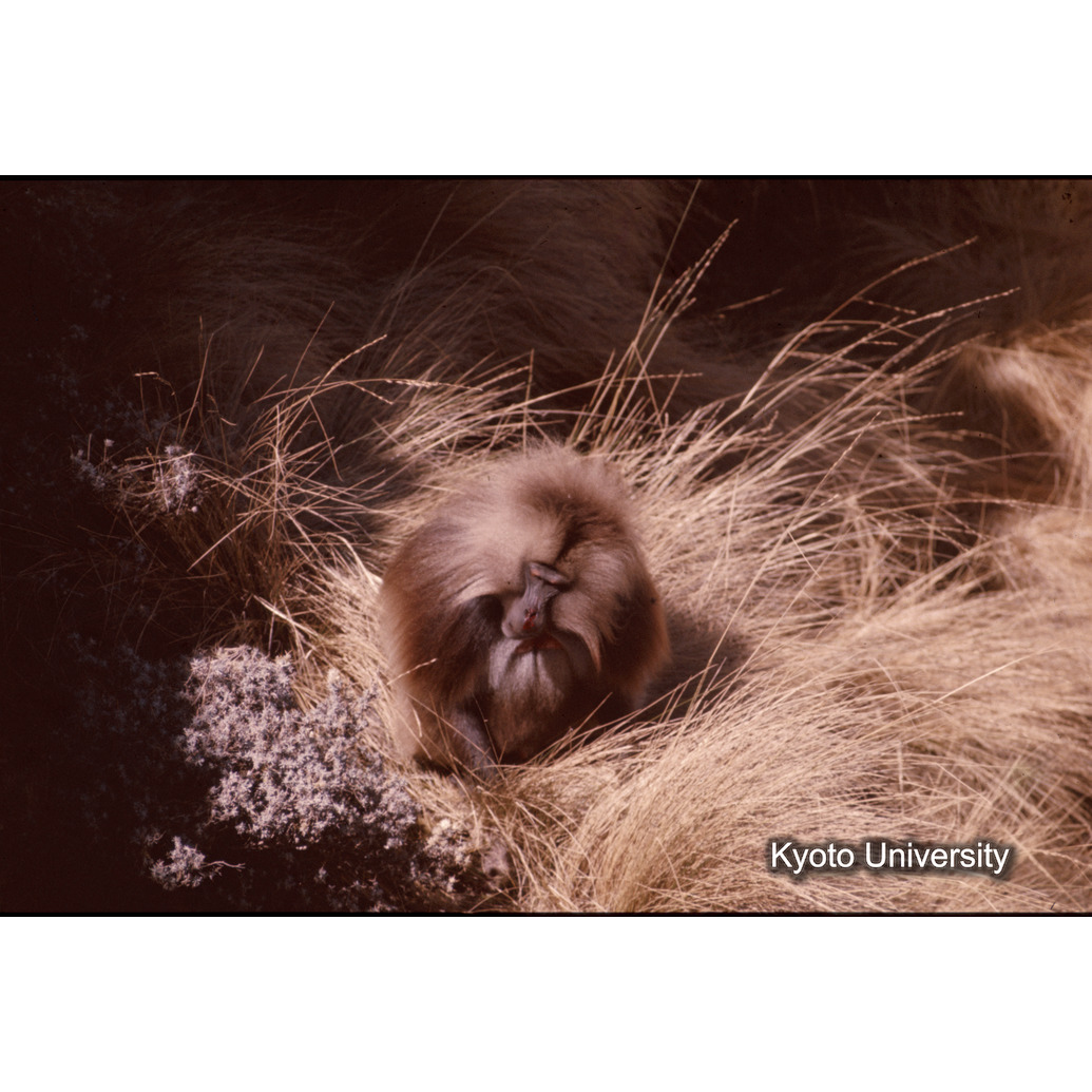 Sm　1973　1424 (1)