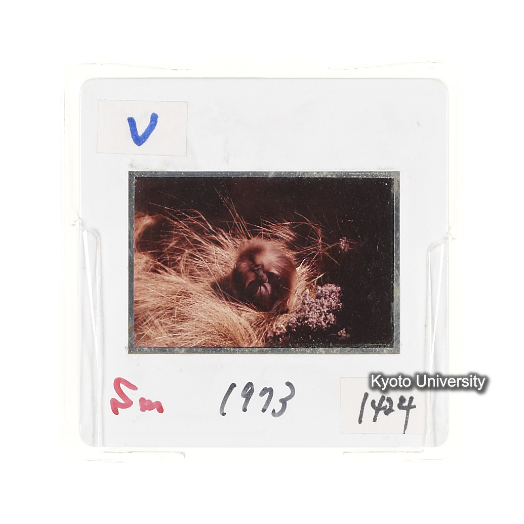 Sm　1973　1424 (2)