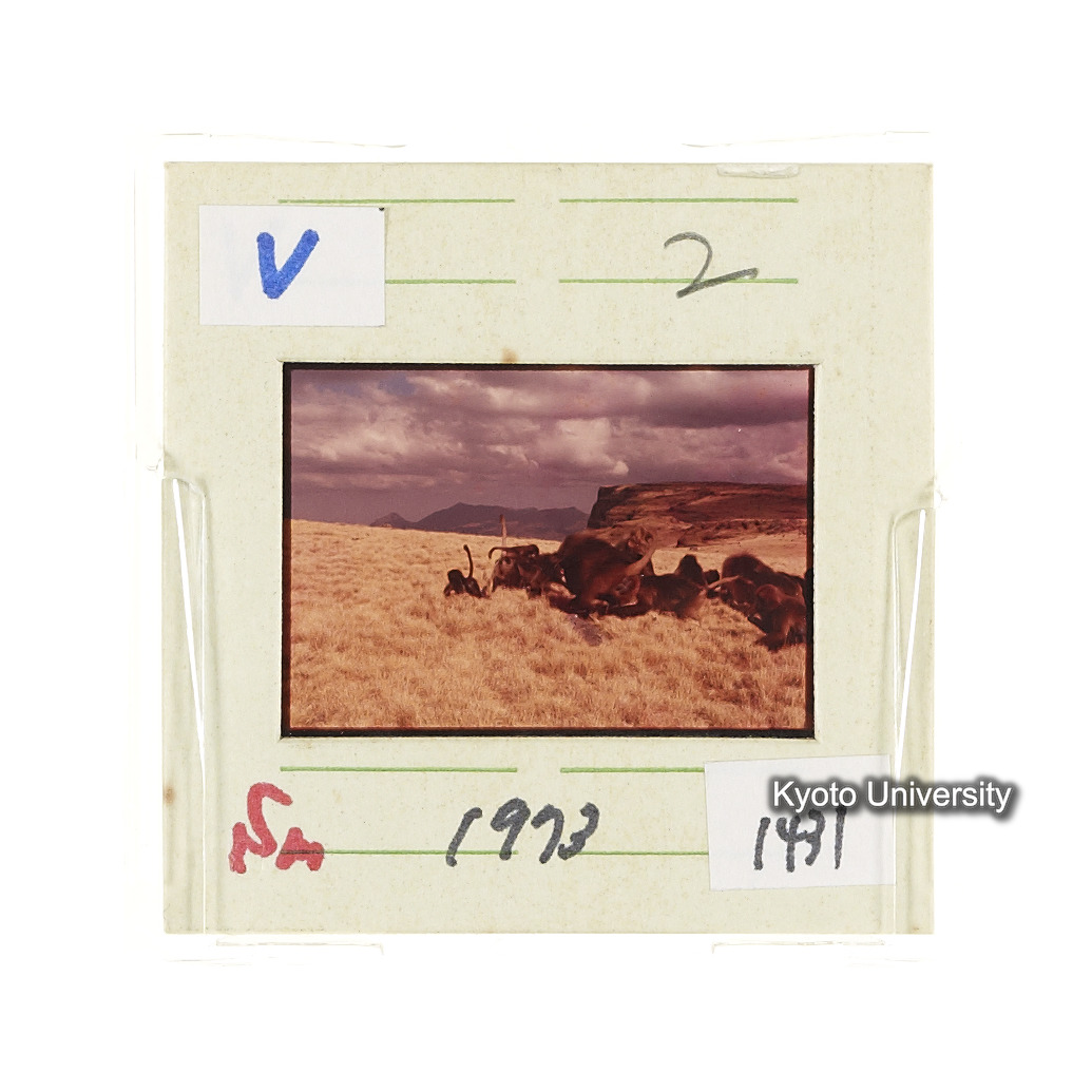 Sm　1973　1431 (2)