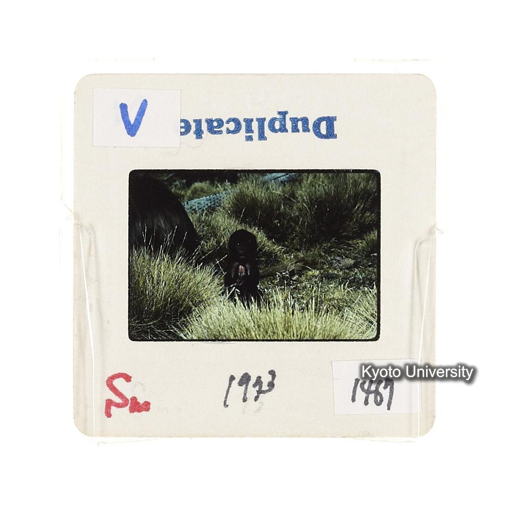 Sm　1973　1467 (2)