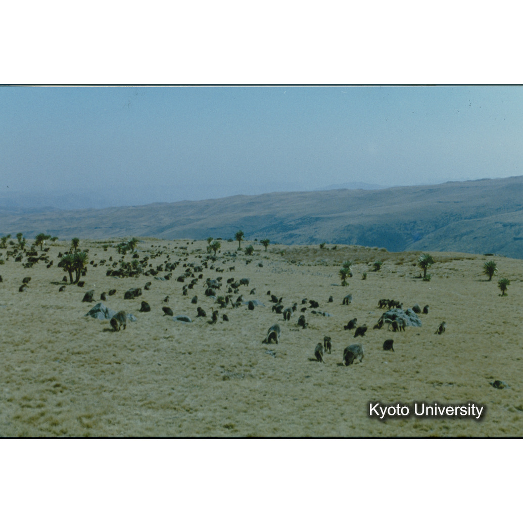 Sm　1973　1475 (1)