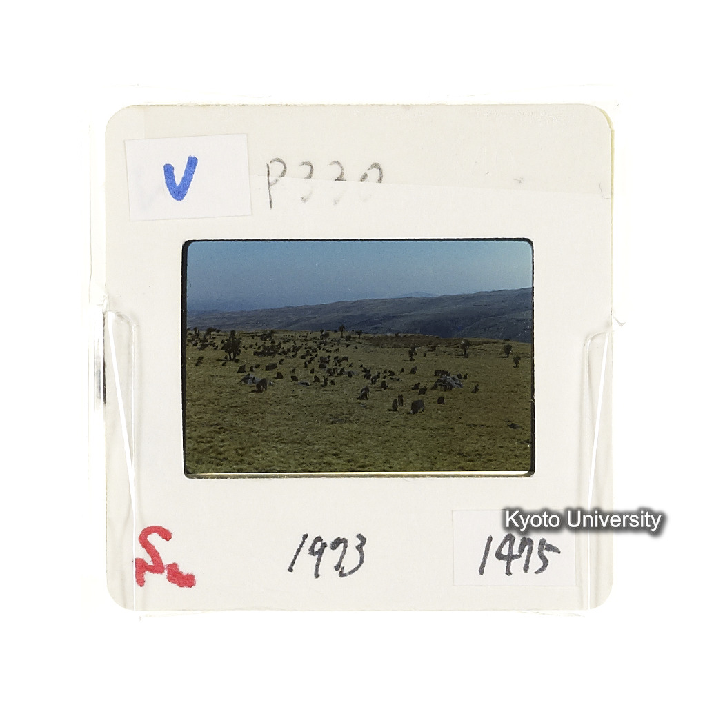 Sm　1973　1475 (2)