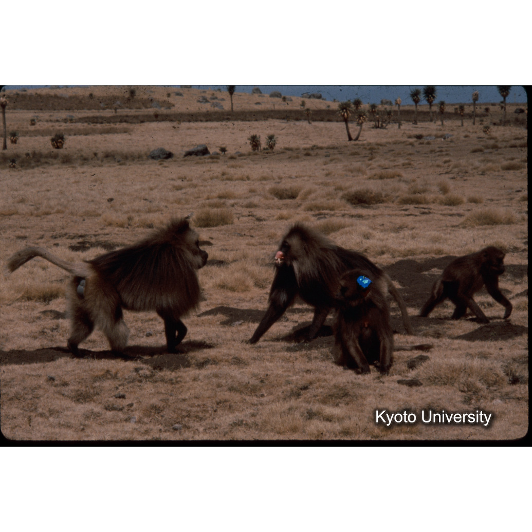 Sm　1973　1507 (1)