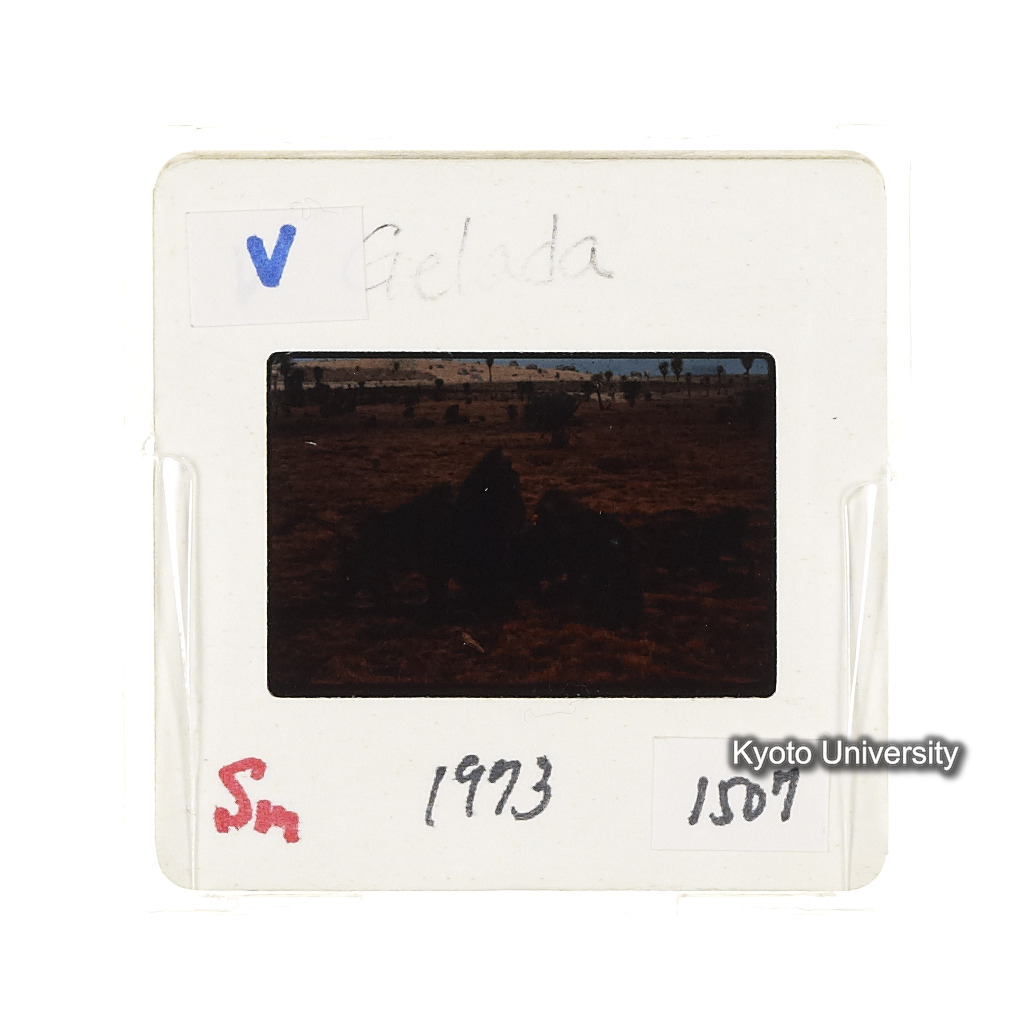 Sm　1973　1507 (2)