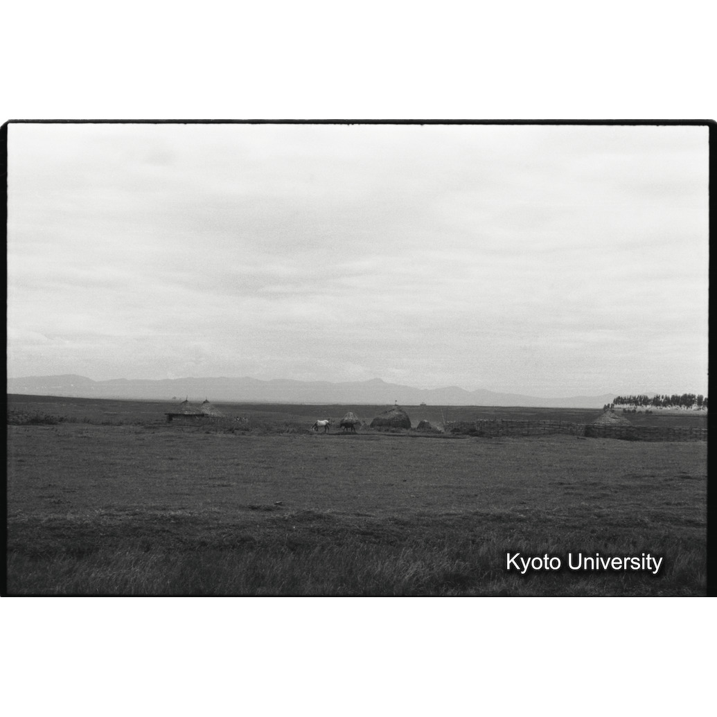 [２８コマ目]「×」 (1)