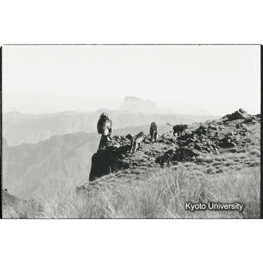 [１５コマ目]「見張り」 (1)