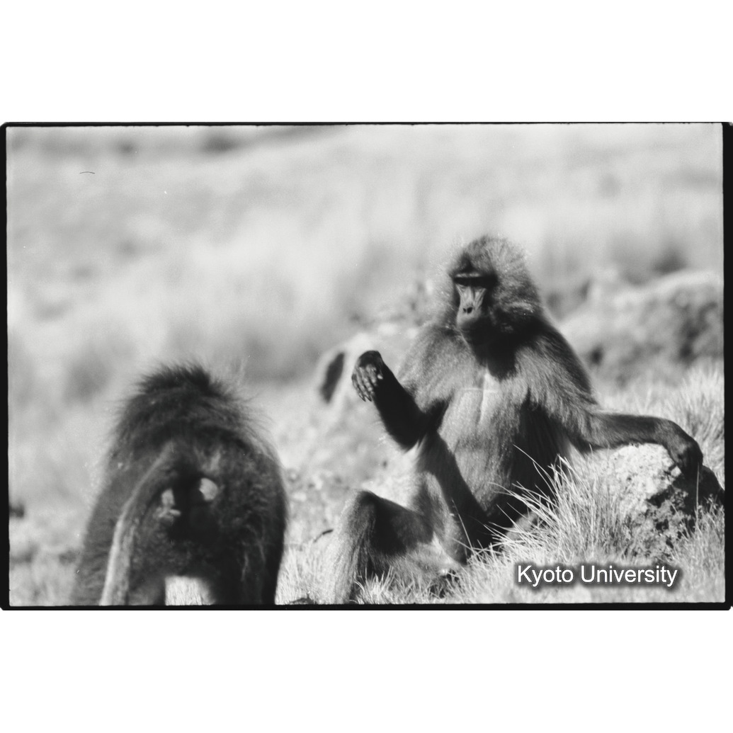 [３７コマ目]「おっ、怖い！」 (1)