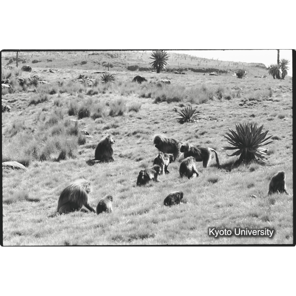 [２４コマ目]「タハイユニット（３）」 (1)