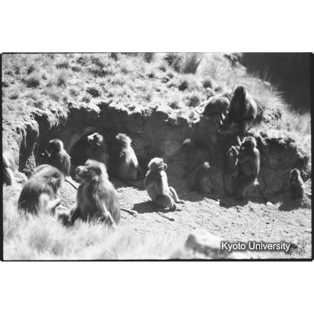 [９コマ目]「コドモグループ（１）」 (1)