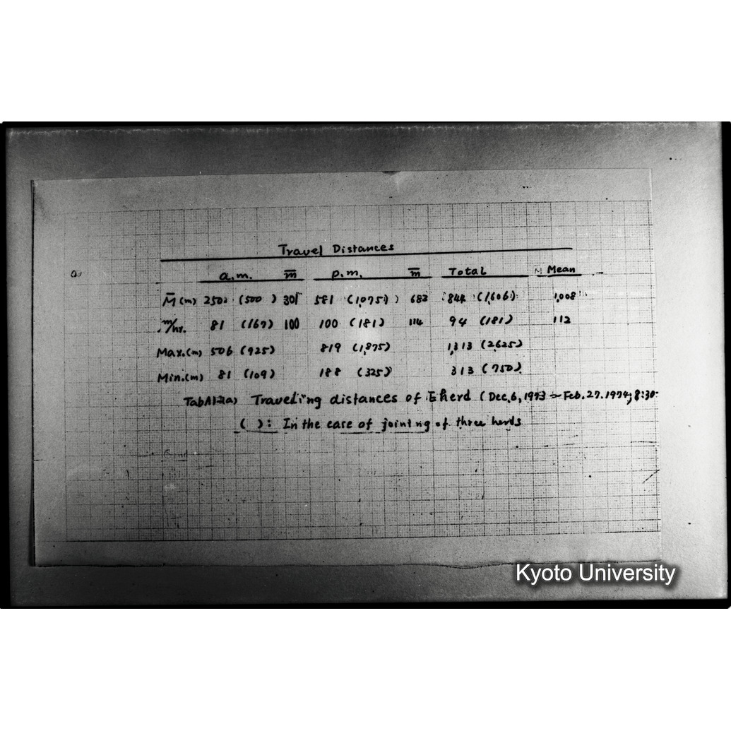 [３２コマ目]「×」 (1)