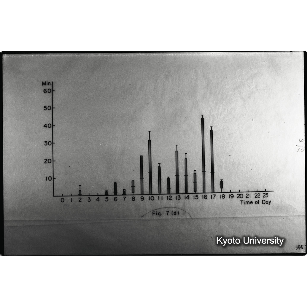 [２３コマ目]「×」 (1)