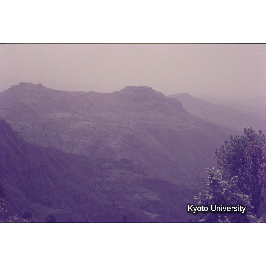 Sm　1973　1270 (1)